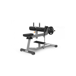 SEATED CALF