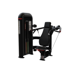 PRESS DE HOMBRO SHOULDER PRESS