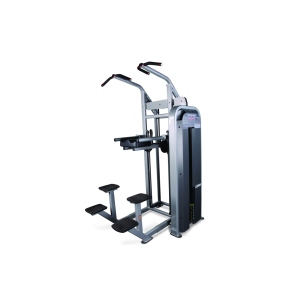 MAQUINA ASISTIDA CHIN/DIP ASSIST
