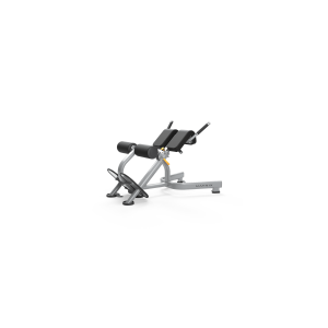 BANCO DE HIPEREXTENSION